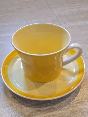 Mikasa Playmates Vintage Citrus Cup & Saucer
